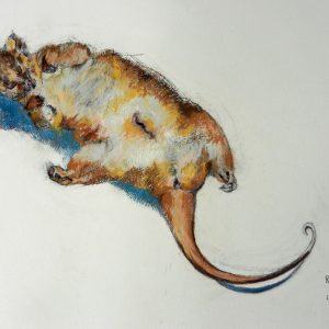 Sketch for In Sympathy