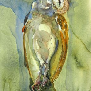 Broken Barn Owl