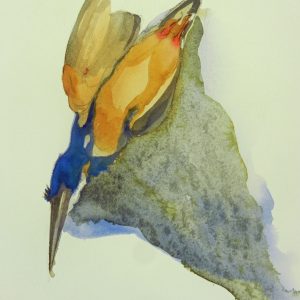 Drifting Azure Kingfisher