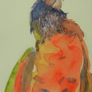 Emerging Rainbow Lorikeet