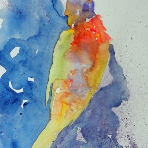 Dissolving Rainbow Lorikeet