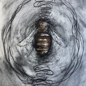 Waggle Dance (Solo)