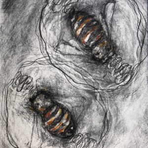 Waggle Dance (Tango)