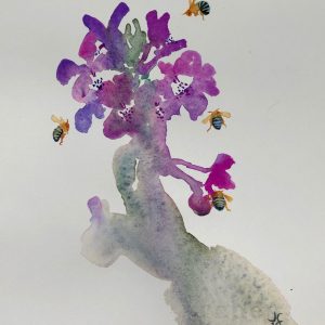 Blue-banded Bees on Mieke’s Texas Sage